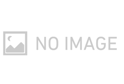東芝モーター 三相全閉外扇モータ（全閉外扇モータ フランジ取付 200V） IK-FCKLK8 0.4kW 4P